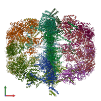 PDB entry 4v58 coloured by chain, front view.