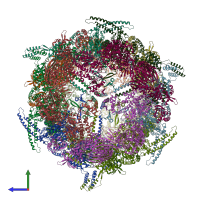 PDB entry 4v58 coloured by chain, side view.