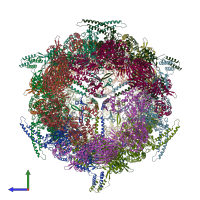 PDB entry 4v59 coloured by chain, side view.