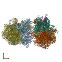 PDB entry 4v5d coloured by chain, front view.