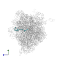 Large ribosomal subunit protein bL20 in PDB entry 4v5d, assembly 1, side view.