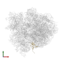 Large ribosomal subunit protein bL19 in PDB entry 4v5f, assembly 1, front view.