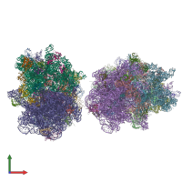 PDB entry 4v5g coloured by chain, front view.