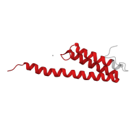 The deposited structure of PDB entry 4v5k contains 2 copies of Pfam domain PF01649 (Ribosomal protein S20) in Small ribosomal subunit protein bS20. Showing 1 copy in chain T [auth AT].