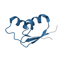 The deposited structure of PDB entry 4v5k contains 2 copies of Pfam domain PF00327 (Ribosomal protein L30p/L7e) in Large ribosomal subunit protein uL30. Showing 1 copy in chain CA [auth B3].