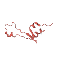 The deposited structure of PDB entry 4v5k contains 2 copies of Pfam domain PF01632 (Ribosomal protein L35) in Large ribosomal subunit protein bL35. Showing 1 copy in chain HA [auth B8].