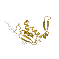 The deposited structure of PDB entry 4v5k contains 2 copies of Pfam domain PF00572 (Ribosomal protein L13) in Large ribosomal subunit protein uL13. Showing 1 copy in chain TA [auth BN].