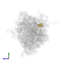Small ribosomal subunit protein uS11 in PDB entry 4v5k, assembly 1, side view.