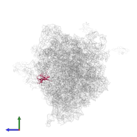 Large ribosomal subunit protein uL13 in PDB entry 4v5k, assembly 1, side view.