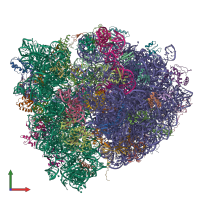 PDB entry 4v5l coloured by chain, front view.