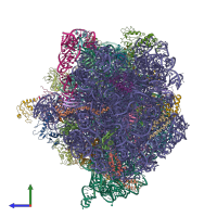 PDB entry 4v5l coloured by chain, side view.