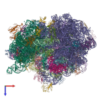 PDB entry 4v5l coloured by chain, top view.