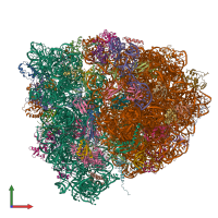 PDB entry 4v5m coloured by chain, front view.