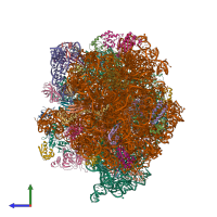 PDB entry 4v5n coloured by chain, side view.