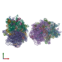 PDB entry 4v5s coloured by chain, front view.
