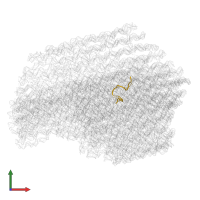 STAPLE STRAND in PDB entry 4v5x, assembly 1, front view.