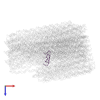 STAPLE STRAND in PDB entry 4v5x, assembly 1, top view.