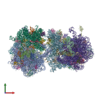 PDB entry 4v5y coloured by chain, front view.