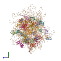 PDB entry 4v5z coloured by chain, side view.