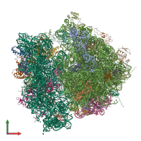 PDB entry 4v61 coloured by chain, front view.