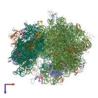PDB entry 4v61 coloured by chain, top view.