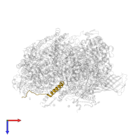 Photosystem II reaction center protein L in PDB entry 4v62, assembly 2, top view.