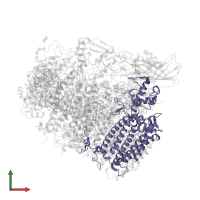 Photosystem II CP43 reaction center protein in PDB entry 4v62, assembly 2, front view.