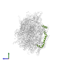 Cytochrome b559 subunit alpha in PDB entry 4v62, assembly 2, side view.