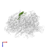 Cytochrome b559 subunit alpha in PDB entry 4v62, assembly 2, top view.