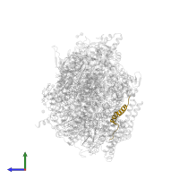 Cytochrome b559 subunit beta in PDB entry 4v62, assembly 2, side view.
