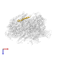 Cytochrome b559 subunit beta in PDB entry 4v62, assembly 2, top view.