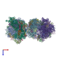 PDB entry 4v64 coloured by chain, top view.