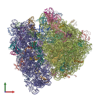 PDB entry 4v65 coloured by chain, front view.