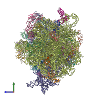 PDB entry 4v65 coloured by chain, side view.