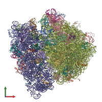 PDB entry 4v66 coloured by chain, front view.