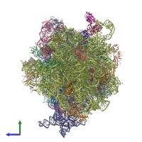 PDB entry 4v66 coloured by chain, side view.