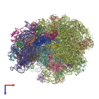 PDB entry 4v66 coloured by chain, top view.