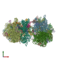 PDB entry 4v67 coloured by chain, front view.