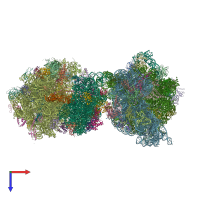 PDB entry 4v67 coloured by chain, top view.