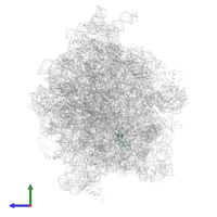 Small ribosomal subunit protein uS10 in PDB entry 4v69, assembly 1, side view.