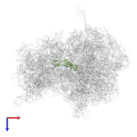 Elongation factor P in PDB entry 4v6a, assembly 2, top view.