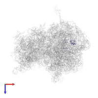 Large ribosomal subunit protein uL15 in PDB entry 4v6a, assembly 2, top view.