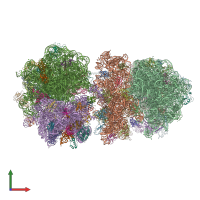 PDB entry 4v6c coloured by chain, front view.