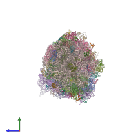 PDB entry 4v6d coloured by chain, side view.
