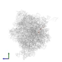 Small ribosomal subunit protein bS21 in PDB entry 4v6e, assembly 1, side view.