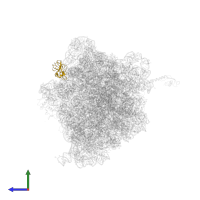 Large ribosomal subunit protein bL25 in PDB entry 4v6g, assembly 1, side view.