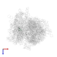 40S ribosomal protein rpS30 (S30e) in PDB entry 4v6i, assembly 1, top view.