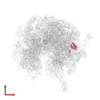 60S ribosomal protein rpL18 (L18e) in PDB entry 4v6i, assembly 1, front view.