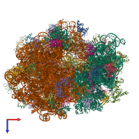 PDB entry 4v6k coloured by chain, top view.