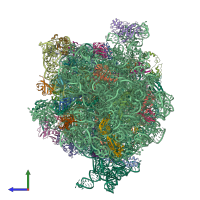 PDB entry 4v6l coloured by chain, side view.